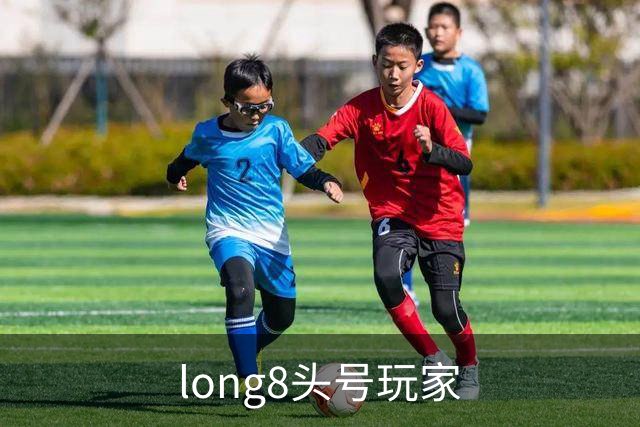 关于long8头号玩家